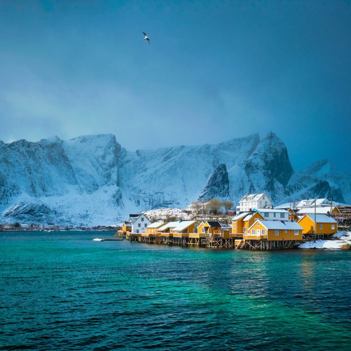 Yellow rorbu houses, Lofoten islands, Norway